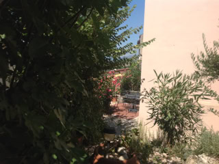 View of mountains from the garden